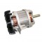 Stihl Motor