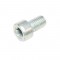 Stihl Spline Screw Is-M5X8